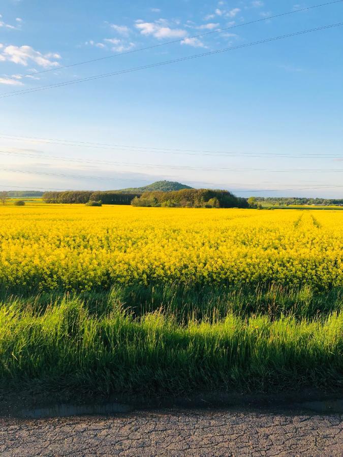 Villa Nibylandia Motylkowa Nowa Wies Grodziska Esterno foto
