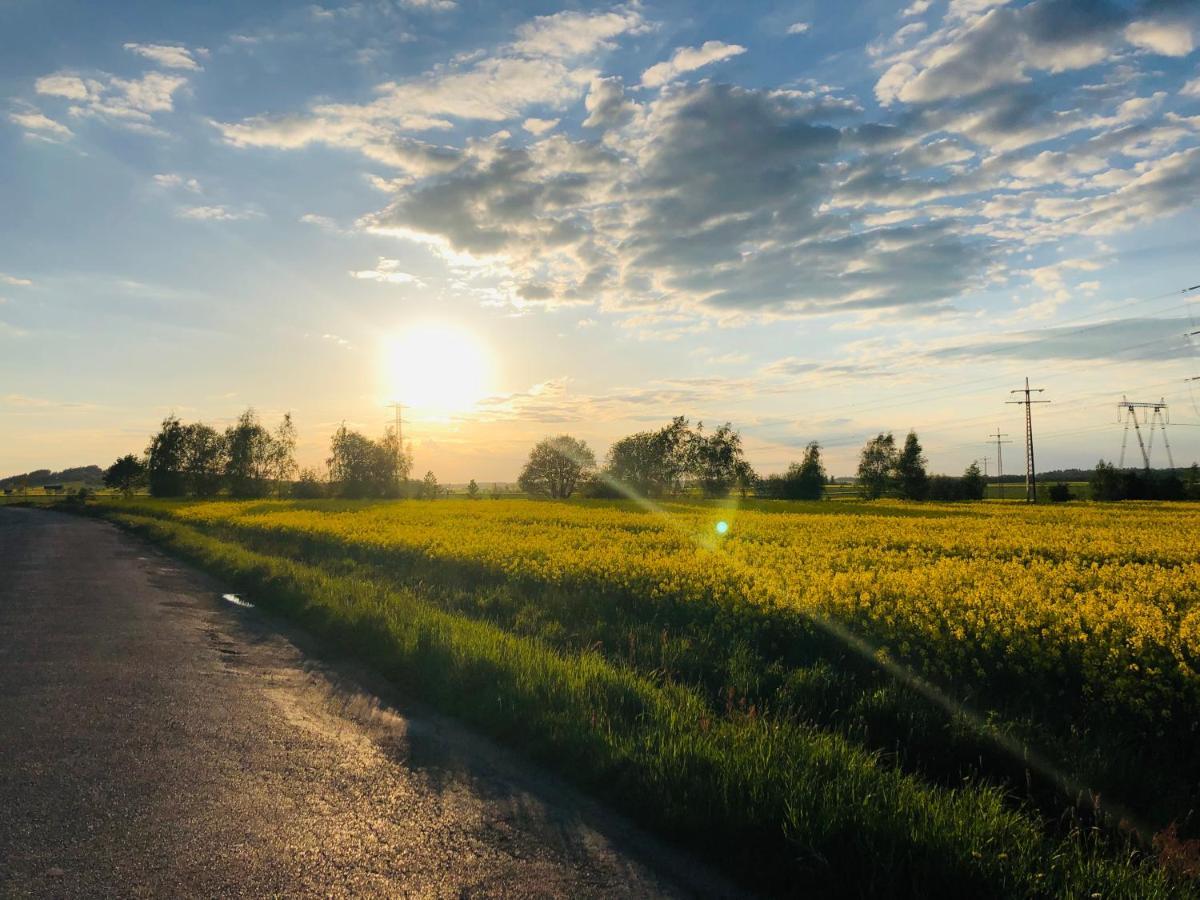 Villa Nibylandia Motylkowa Nowa Wies Grodziska Esterno foto